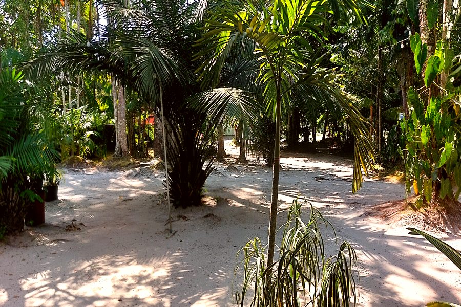 Tropische natuur Blok 1 Anjuli Nature Resort