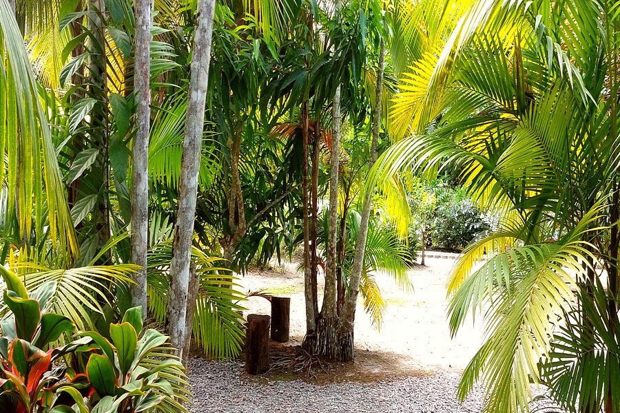 Natuur rond Anjuli Nature Resort Blok 2