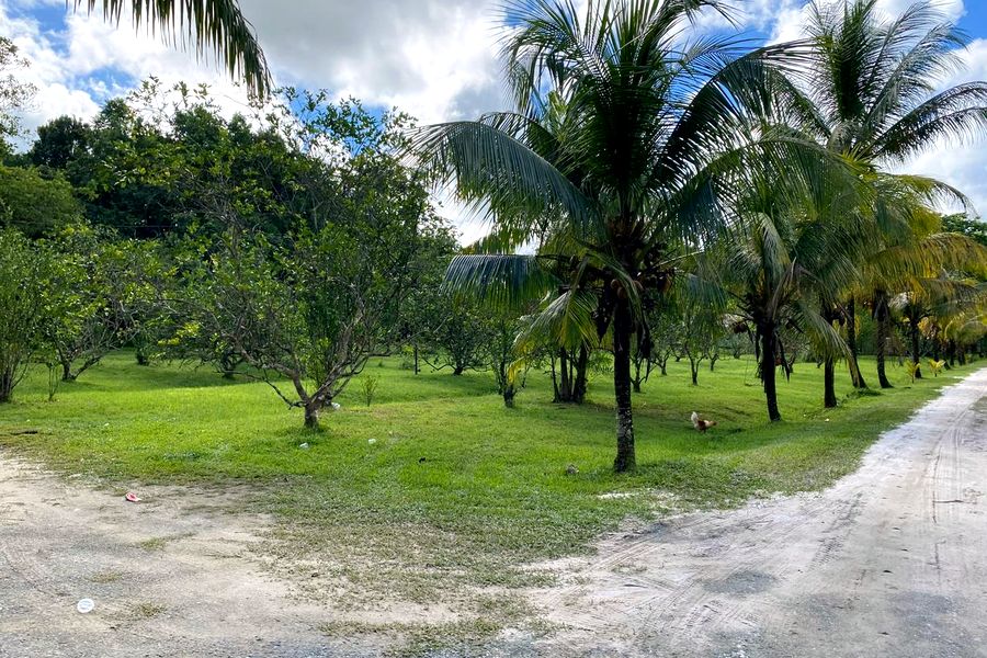 Anjuli Nature Resort — evenement